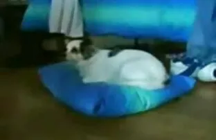 XXX Magushka सेक्सी पिक्चर हिंदी वाली टीचर सेक्स बेटी
