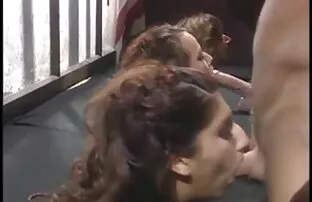 XXX जल्दी से एक सेक्सी पिक्चर वीडियो गड़बड़ एक लंपट सचिव पर के तालिका